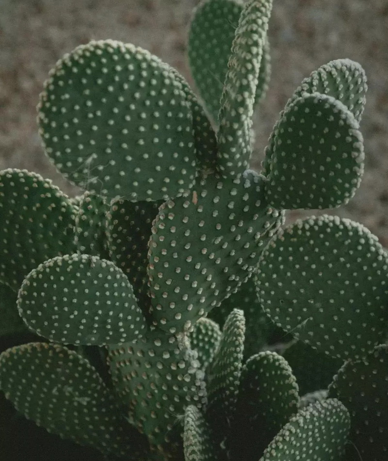 1577781345391811.jpg 640.webp (6).jpg