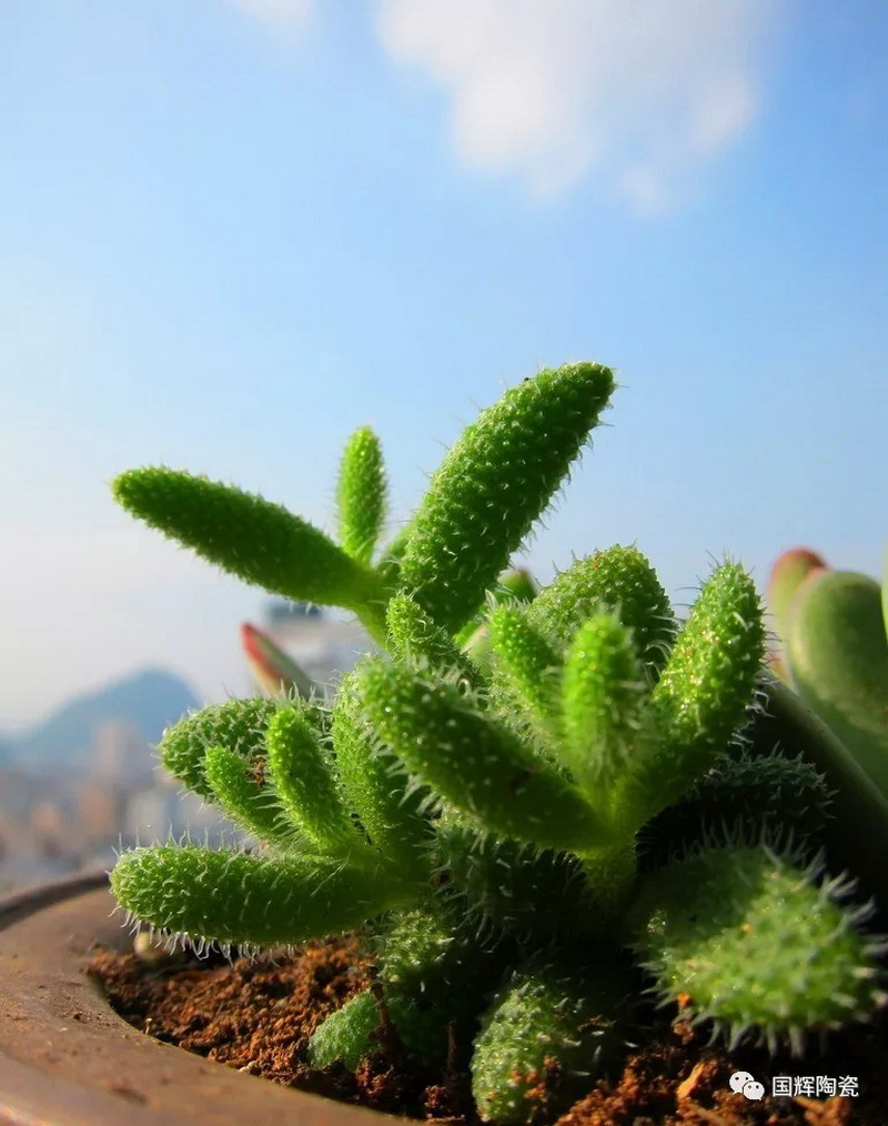 1577781425579618.jpg 640.webp (13).jpg