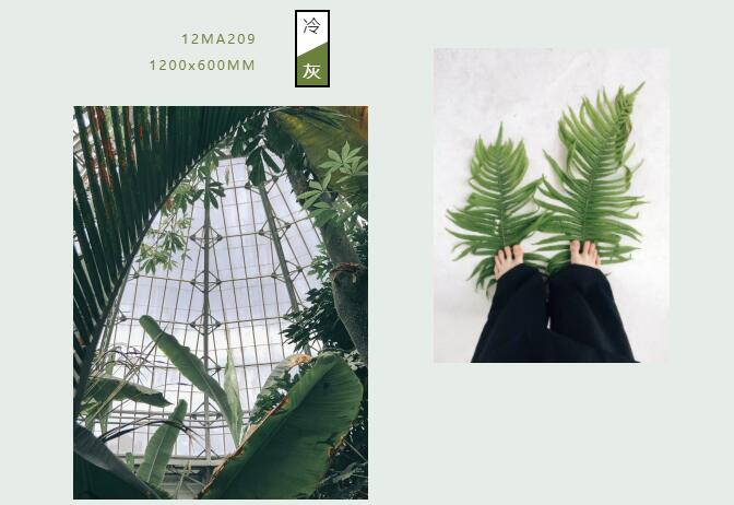 1577958660892436.jpg 4.jpg