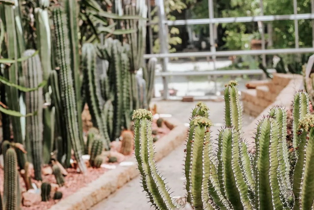 1577958776672002.jpg 640.webp (1).jpg