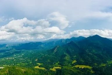 1653961331480038.jpg 1.jpg